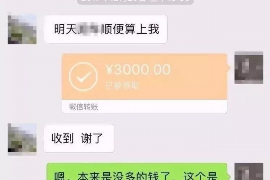 大丰要债公司